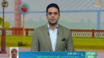 تحذير لمرضى الحساسية.. نشاط للأتربة وتغيرات في درجات الحرارة نهاراً بمصر